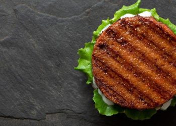Fake Meat