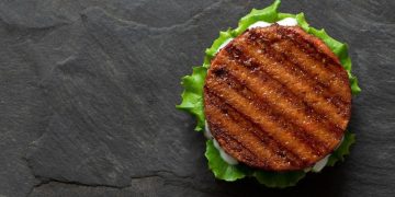 Fake Meat
