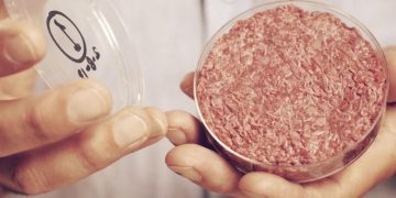 Lab-Grown Meat