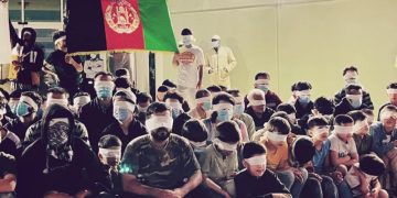 Afghans