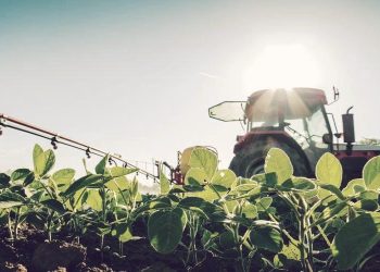 Agriculture