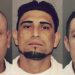 Illegal Alien Child Sex Offenders