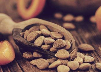 Apricot Seeds (1)