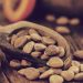 Apricot Seeds (1)