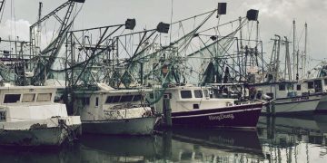 Save Our Shrimpers