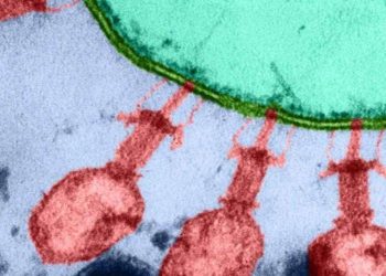 AI Virus