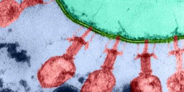 AI Virus