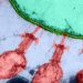 AI Virus
