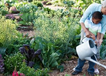 Gardening