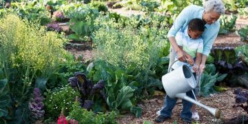 Gardening