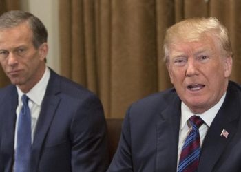 Thune Trump