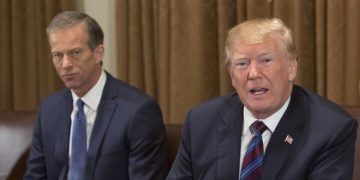 Thune Trump