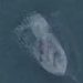 Unidentified Submersible Object