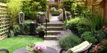 Backyard Sanctuary