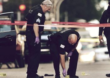 Chicago Crime