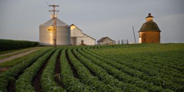 Illinois Soybean Farmers