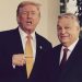 Trump Orban