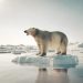 Climate Change