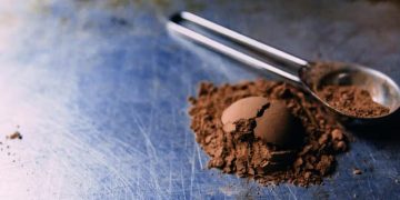 Cocoa Extract Supplement