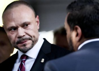 Dan Bongino
