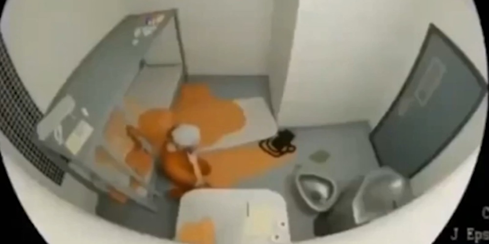 Fake Epstein Video