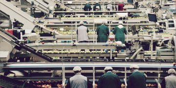 Food Cartel