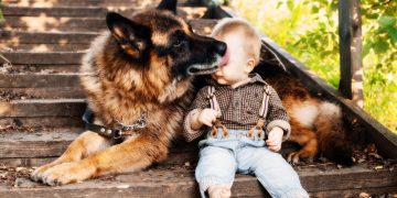 Guard Dog