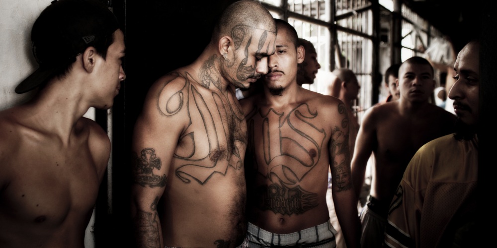 MS-13