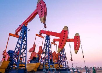 Oil
