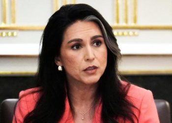 Tulsi Gabbard