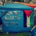 pro-palestine