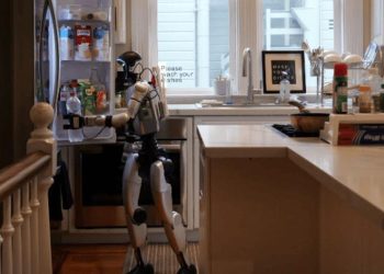 Maid Robot