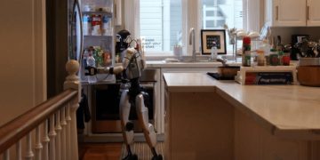Maid Robot