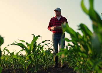 Farmer