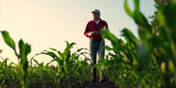Farmer