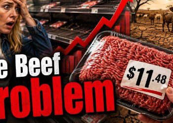 Beef (1)