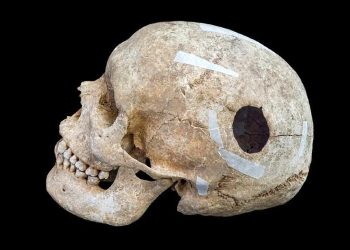 Viking Skull