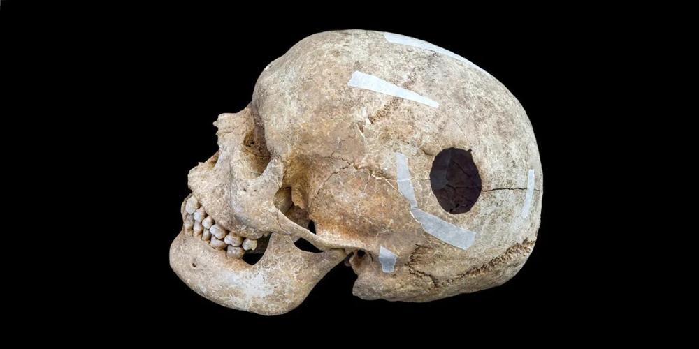 Viking Skull