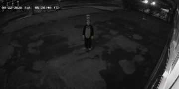 Cat in the Hat