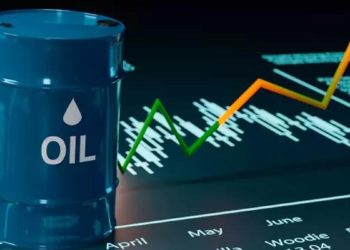 Oil