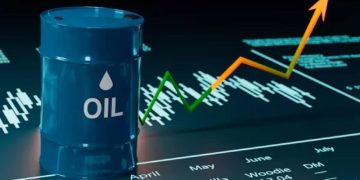Oil